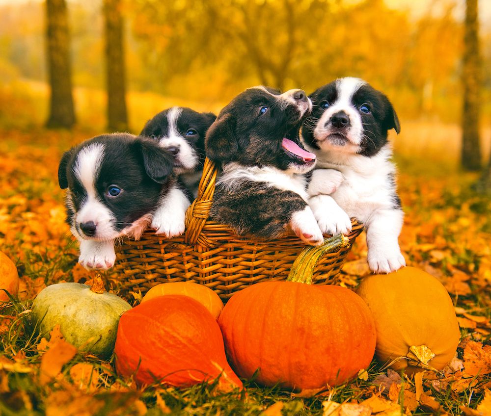 Question of the Week